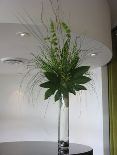 a plant in a vase sitting on top of a black table next to a window