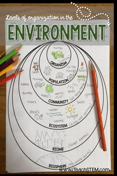 a poster with the words environmental on it and an image of pencils next to it