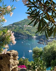 boats are in the water near some rocks and trees with white flowers on them, while another boat is docked at the shore