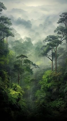 a forest filled with lots of trees and mist covered mountains in the distance on a foggy day