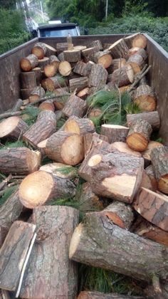 a truck full of cut down trees in the back of it