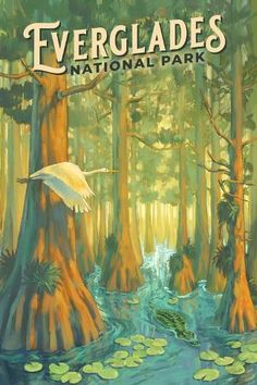 the cover of evergladess national park