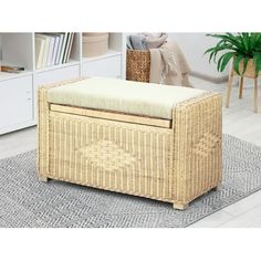 a wicker bench with a cushion on top of it in front of a bookcase