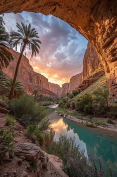 the sun is setting over a river in wadih, with palm trees and rocks