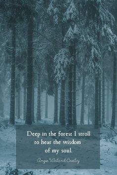 trees in the snow with a quote about deep in the forest i stroll to hear the wisdom of my soul