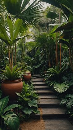 an outdoor walkway surrounded by tropical plants and trees