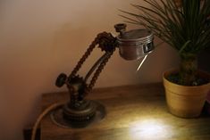 a small potted plant sitting on top of a wooden table next to a lamp