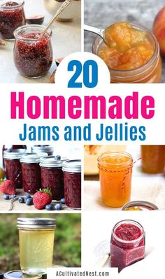 jams and jellies with the title overlay reads 20 homemade jams and jellies