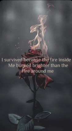 a rose with the words i survived because the fire inside me burned brighter than the fire around me