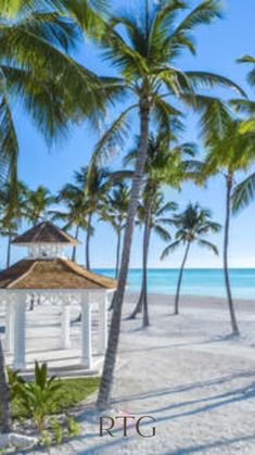 a gazebo on the beach surrounded by palm trees