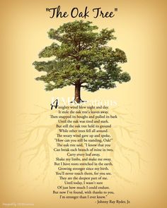 an oak tree with roots and the words,'the oak tree '