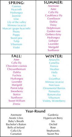 the four different types of winter words are shown in this diagram, which includes names for each