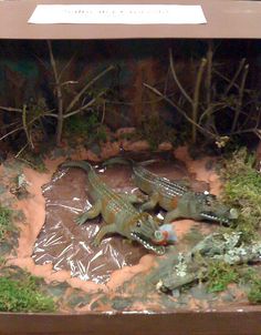 two alligators are laying on the ground in an enclosure with plastic wrap around them