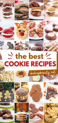 Don't you just love cookies? We have compiled the Best Cookie recipes for your sweet treat ideas for any occasion! From decadent cookies to homemade cookie recipes. Check out these recipes today! Christmas Baked Goods Gifts, Christmas Cookies Gluten Free, Food For Birthday, Holiday Recipes Desserts, Decadent Cookies, Baked Goods Gifts, Mmm Cookies, 100 Cookies Recipe, Sara Moulton