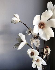 a vase with white flowers in it on a table