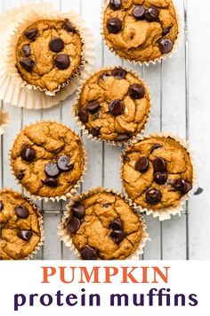 pumpkin protein muffins with chocolate chips on top and the title overlay reads, pumpkin protein muffins