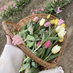 a person holding a basket full of flowers