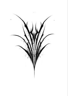 black and white photograph of grass on a white background