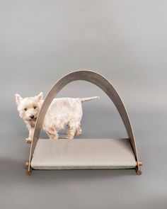 a small white dog standing on top of a pet bed that is shaped like an arch