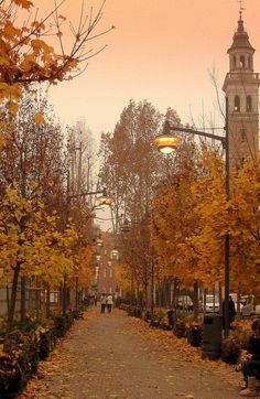 people are sitting on benches in the park near trees with yellow and orange leaves around them