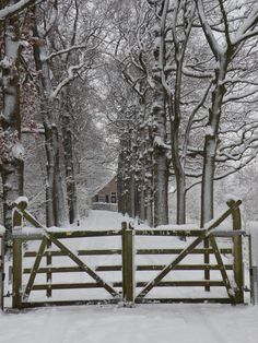 a wooden gate in the middle of a snowy forest