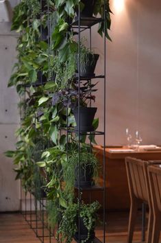 an indoor vertical planter with plants growing on it