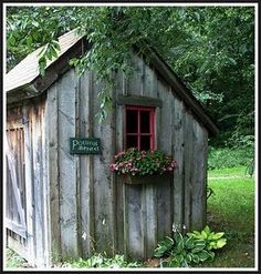 a small wooden shed with a window and flower box on the door, surrounded by greenery