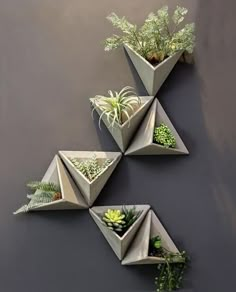 three cement planters with succulents and plants in them on a wall