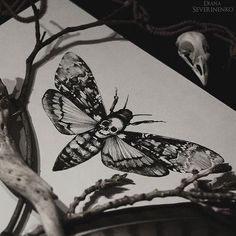 a black and white photo of a butterfly on a branch with skulls in the background