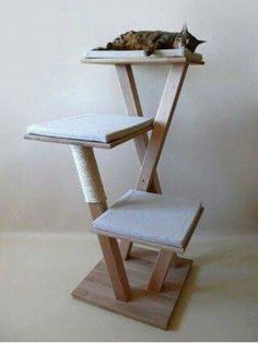 a cat laying on top of a wooden stand