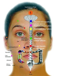 Ear Reflexology, Acupressure Therapy, Hand Reflexology, Massage Therapy Techniques, Reflexology Chart, Face Mapping, Reflexology Massage, Body Map