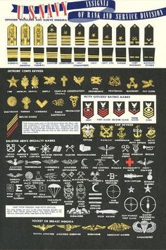 size: 18x12in Art Print: US Navy Rank and Service Insignia : Us Navy Themed Party, Us Navy Rank Insignia, Us Navy Tattoos, Police Drawing, Us Navy Women, Navy Insignia, Navy Ranks, Navy Badges, Army Divisions