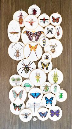 many different types of bugs and insects on plates with wood flooring behind them in the shape of a circle