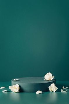 a black cake with white flowers on it sitting in front of a teal green wall