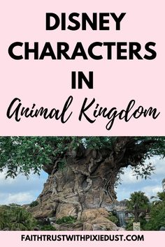 an animal kingdom tree with the words disney characters in it