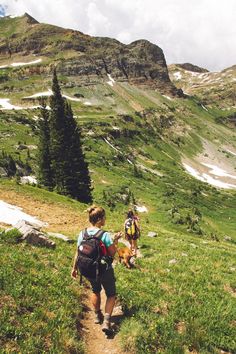 two people hiking up a hill with their dogs