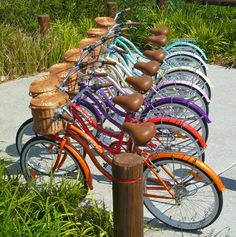 a row of bicycles parked next to each other on a sidewalk near grass and bushes