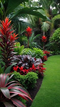 a lush green garden filled with lots of plants