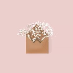 a brown envelope with white flowers in it on a pink background is the centerpiece for this image