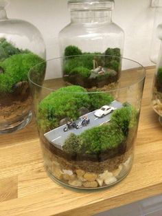 three glass vases filled with plants and rocks on top of a wooden countertop