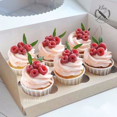 cupcakes with frosting and raspberries in a box