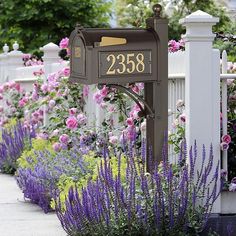 a mailbox in the middle of a garden with purple and pink flowers around it