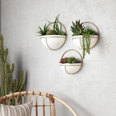 three hanging planters on the wall with succulents