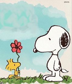 a drawing of a snoopy holding a flower in front of a dog with a yellow nose