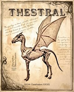 an image of a book cover with a dragon on it's back and the title in