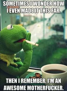 Funny Kermit, Funny Kermit Memes, Free To Be Me, Animals Memes, Kermit Funny, Adulting Quotes, Sometimes I Wonder, Kermit The Frog, Funny True Quotes