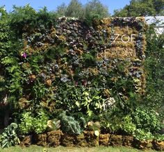 the sign is covered with lots of plants