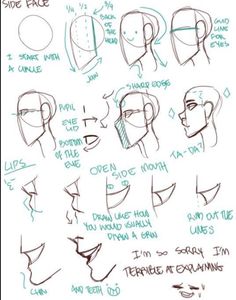 the different types of head shapes and how to draw them