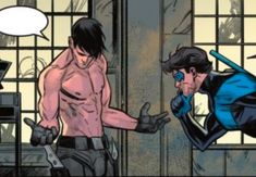 Nightwing And Batman, For The Plot, Batman Family