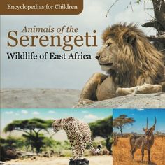 an image of animals in the wild with caption that reads,'animal of the serengeti wildlife of east africa '